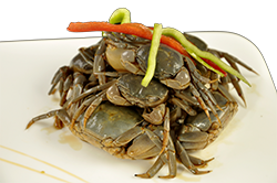 宁波太平洋大酒店 宁波太平洋大酒店